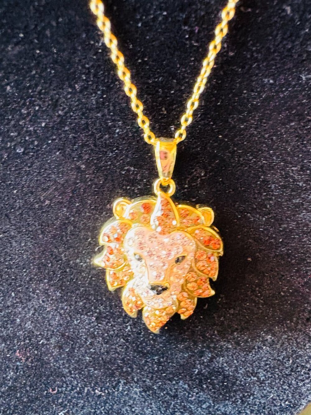 Lion Head Pendant and Chain Gold over 925--New